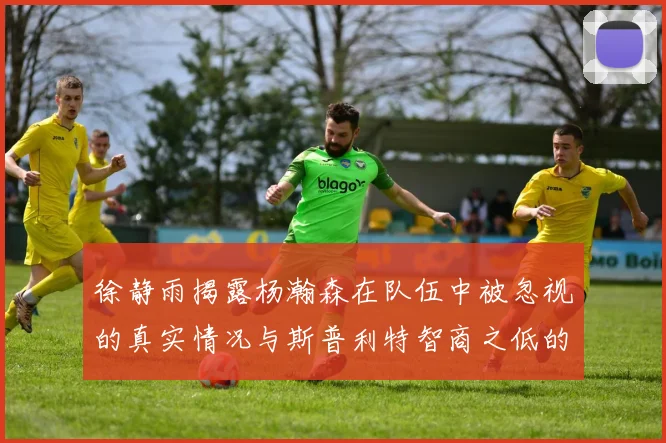 徐静雨揭露杨瀚森在队伍中被忽视的真实情况与斯普利特智商之低的尴尬真相
