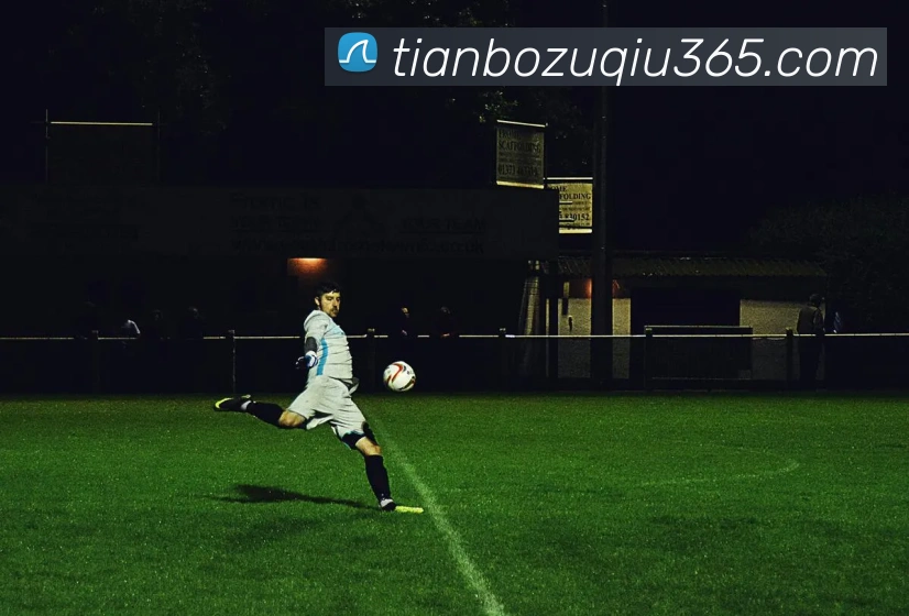 App Interface Preview